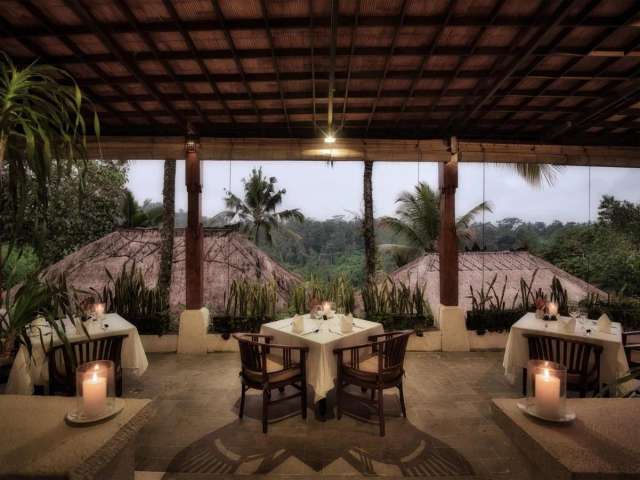 Nandini Jungle by Hanging Gardens-3