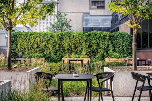 Le Centre Sheraton Montreal hotel-3