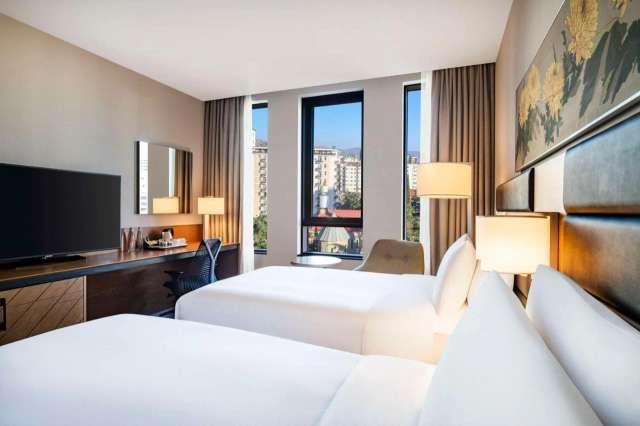 Hilton Garden Inn Tbilisi Chavchavadze-3