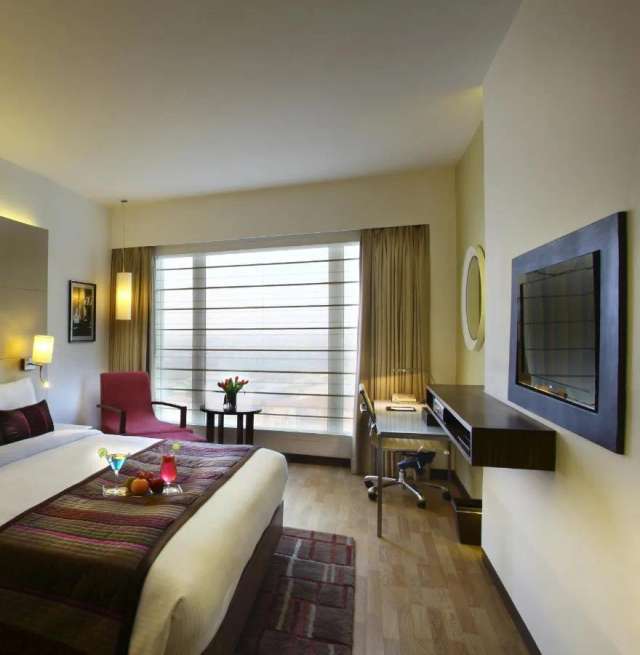 Park Plaza Shahdara hotel-3