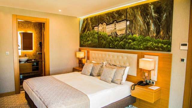 Aselia Hotel-3